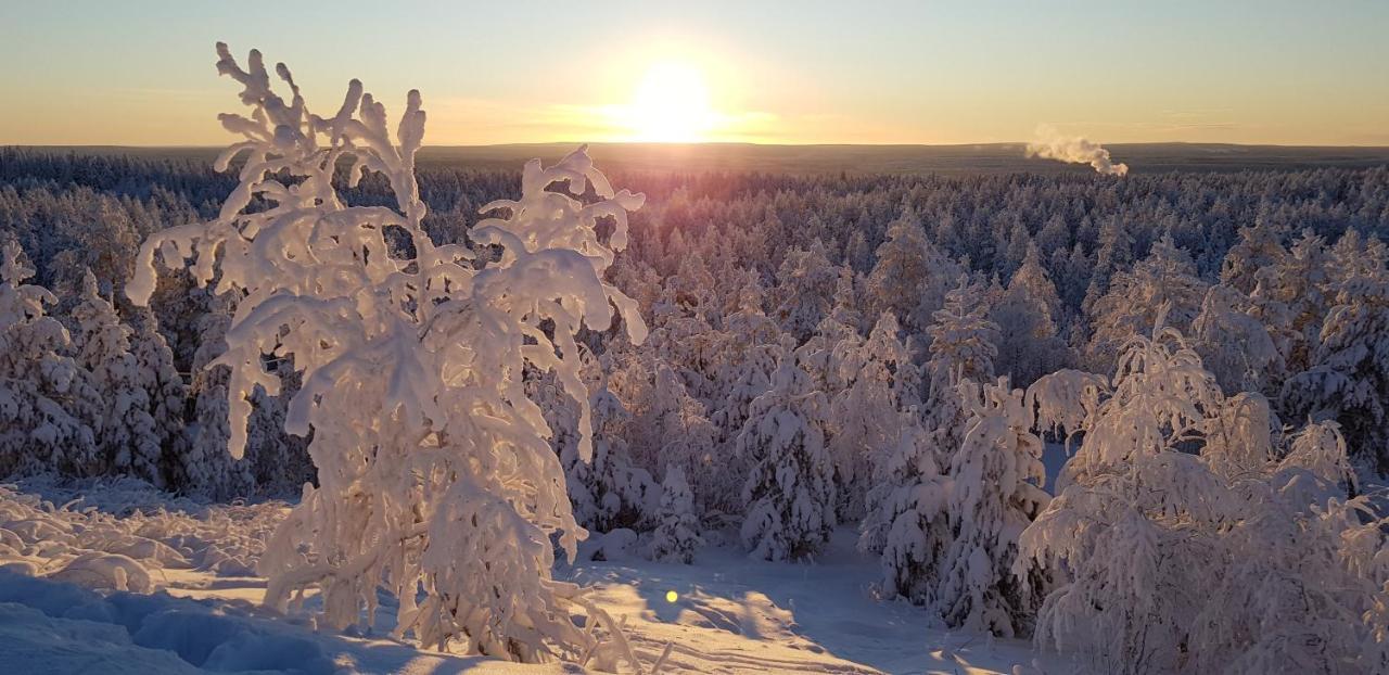 Villaski Rovaniemi Eksteriør billede